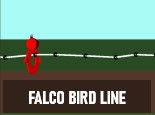 Falco Bird Line